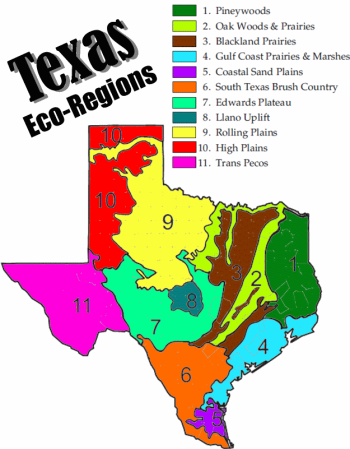 Texas-Ecoregions-Map – The Law Offices of Ryan Henry